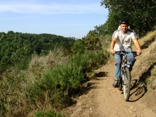  Bicicleta de cerro en las pistas de Sarthe